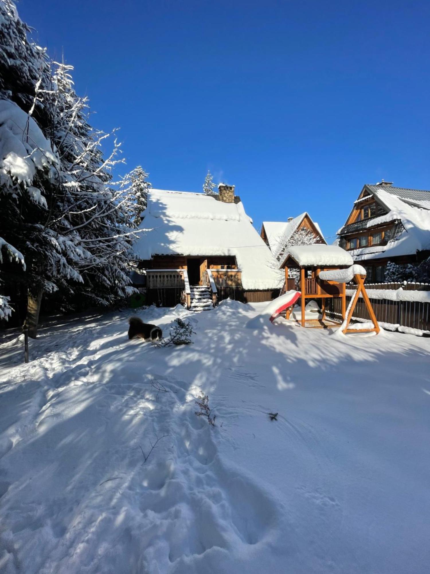 Domek Krzeptowskiego 18 Zakopane Exterior photo